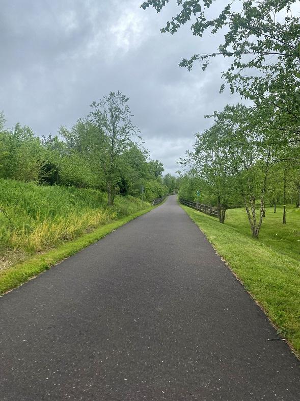 A paved road with grass and trees on either side.