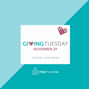 A teal and light blue graphic reads One Day...Huge Impact. GivingTuesday November 29.